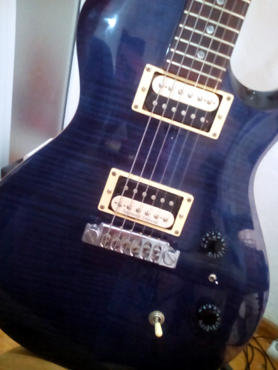 Body shot of a Paul Reed Smith SE Single Cut